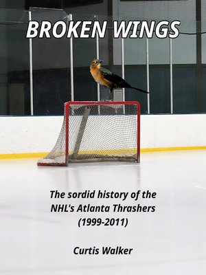 cover image of Broken Wings